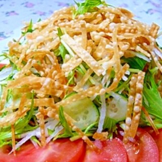 生野菜サラダ♪トッピングはフライド…餃子の皮！